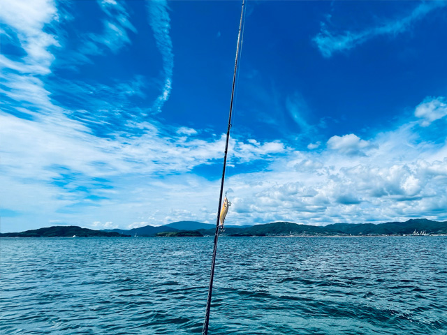 魚種の多い多島美エリアでのフィッシングを提供